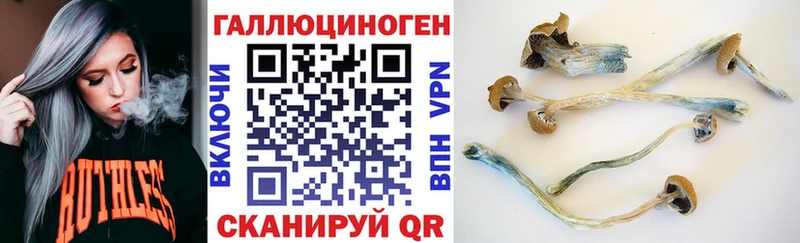 Псилоцибиновые грибы MAGIC MUSHROOMS Купить где Спас-Деменск